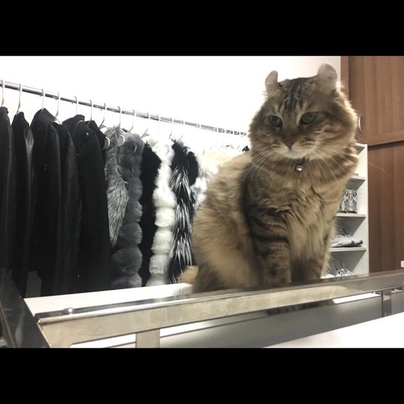 ❤️ 2022 UPDATE - MEET YOUR POSHER ❤️ - Picture 6 of 15